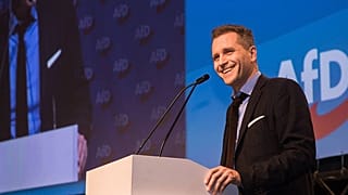 Petr Bystron, az AfD EP-képviselője