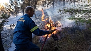 Firefighters tackle a blaze on the outskirts of Athens in June. Global heating has been blamed for the increased frequency and intesity of forest fires across Europe.