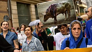 "Es ist nicht mein Haustier, es ist meine Familie" skandierten Hunderte von Demonstranten auf den Straßen von Mexiko-Stadt.