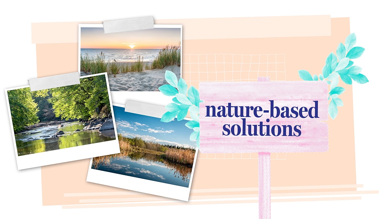 Warum die Natur unser bester Wassermanager im Kampf gegen den Klimawandel ist