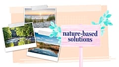 Warum die Natur unser bester Wassermanager im Kampf gegen den Klimawandel ist