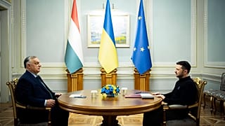 Встреча Орбана с Зеленским
