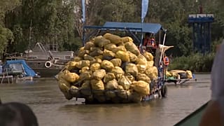 m Rahmen eines historischen Aufräumwettbewerbs sind mehr als sieben Tonnen Plastikmüll aus dem ungarischen Theiß-See herausgeholt worden.
