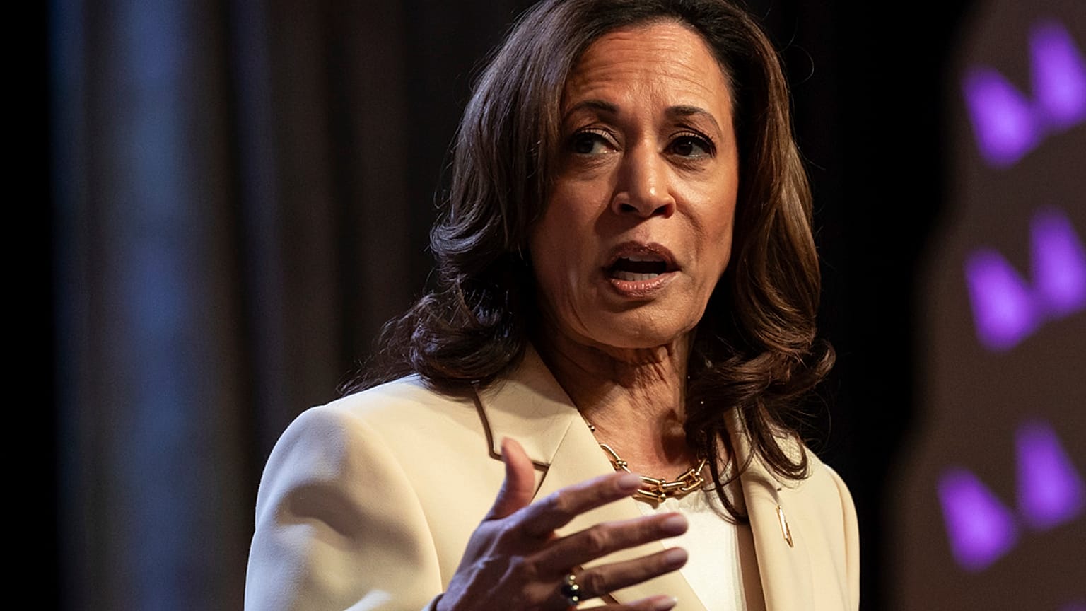 ABD Başkan Yardımcısı Kamala Harris, başkan Joe Biden'ın yerine olası bir aday olarak gösterilmesinden endişe ediyor