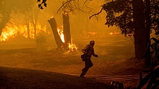 In Oroville, einer Kleinstadt in Nordkalifornien, haben Feuerwehrleute verzweifelt versucht, einen Großbrand einzudämmen. 
