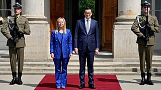 Giorgia Meloni'nin Fratelli d'Italia'sı (FdI) ve Mateusz Morawiecki'nin Hukuk ve Adalet Partisi (PiS), Avrupa Muhafazakârları ve Reformistleri (ECR) grubunun ana fraksiyonlarıdır.