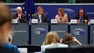 Los rumores apuntan a que el Parlamento Europeo podría estudiar la creación de una comisión de sanidad independiente con competencias legislativas en la próxima legislatura.