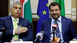 Si los eurodiputados de Le Pen se unen a los Patriotas como se espera, se cumpliría el objetivo declarado de Orbán de reclamar el tercer grupo más grande, ya que superarían tanto a ECR como a Renew.