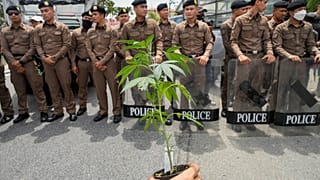 Police stand guard as cannabis activists and entrepreneurs, holding cannabis plant gather in front of Government House in Bangkok