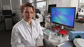 La prolifération des méduses, menace sur l'environnement ou trésor insoupçonné ?