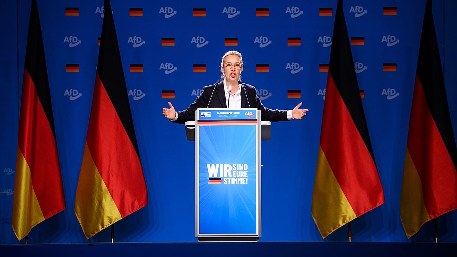 Les députés européens de l'AfD ne sont pas inscrits après avoir été expulsés d'Identité et Démocratie.
