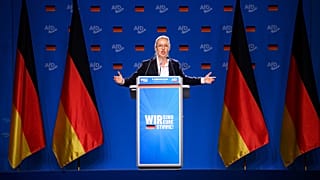 Les députés européens de l'AfD ne sont pas inscrits après avoir été expulsés d'Identité et Démocratie.