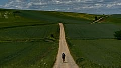 En 2023, casi medio millón de personas recorrieron el Camino de Santiago en España. Alrededor del 40% lo hizo por motivos puramente religiosos. 