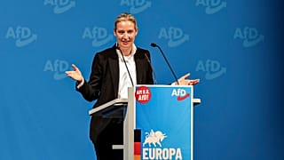 A szélsőjobboldali Alternatíva Németországért (AfD) pártot szélsőségességgel gyanúsítják.