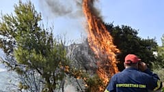Φωτιά στην Κόρινθία