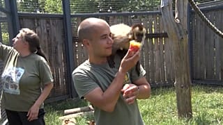 Cuidador del zoo de Sofía.