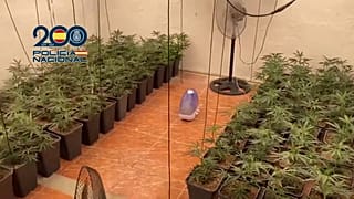 Η Εθνική Αστυνομία εξαρθρώνει διεθνές δίκτυο διακίνησης μαριχουάνας στην Ισπανία, Ιούλιος 2024