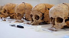 Des cranes de disparus sont en cours d'identification dans un centre médico-légal.