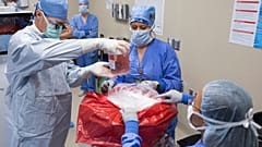 Une opération de transplantation