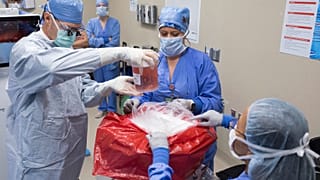 Une opération de transplantation