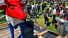 Hükümetin azot oksit ve amonyak emisyonlarını azaltma planlarını protesto eden Hollandalı çiftçiler, 22 Haziran Çarşamba günü Hollanda'nın Stroe kentinde bir gösteri için toplandı