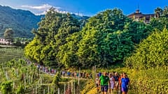Belediye Başkanı, bölge sakinleri için haftalık çalışma saatlerini yürüyüş seanslarına dönüştürmeye karar verdi. 