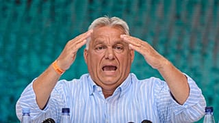 Archivo: El primer ministro húngaro, Viktor Orbán, pronuncia un discurso en Rumanía el 27 de julio.