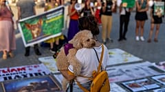 AK Parti'nin sokakta yaşayan köpeklerin 'uyutulmasını' içeren yasa teklifi başta hayvan hakları savunucuları olmak üzere toplumun geniş kesiminden tepki gördü.