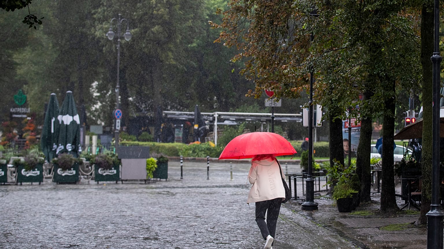 Последствия шторма в Латвии