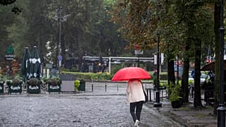 Последствия шторма в Латвии