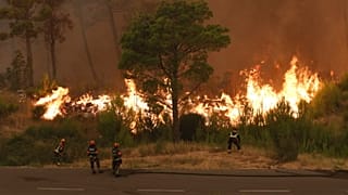 В Хорватии леса тушат более 1000 пожарных и 20 самолётов