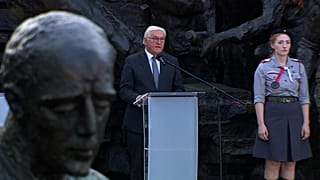 Bundespräsident Frank-Walter Steinmeier