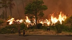 Огонь вызван сильной устойчивой жарой.
