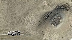 Schafe finden kein Wasser auf Sizilien in Italien