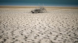 El lago Fanaco muestra el nivel extremadamente bajo de sus aguas en Castronovo di Sicilia, Sicilia central, Italia, el miércoles 17 de julio de 2024.