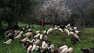 Φωτογραφία αρχείου