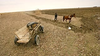 Siccità in Romania, immagine d'archivio
