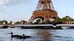 Ördekler 2024 Yaz Olimpiyatları sırasında Eyfel Kulesi önünde Seine Nehri boyunca yüzüyor, 29 Temmuz 2024, Pazartesi, Paris