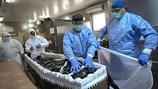 ARCHIVO - Miembros del personal médico colocando el cuerpo de una víctima de COVID-19 en un ataúd en Bucarest, Rumania, el lunes 8 de noviembre de 2021.