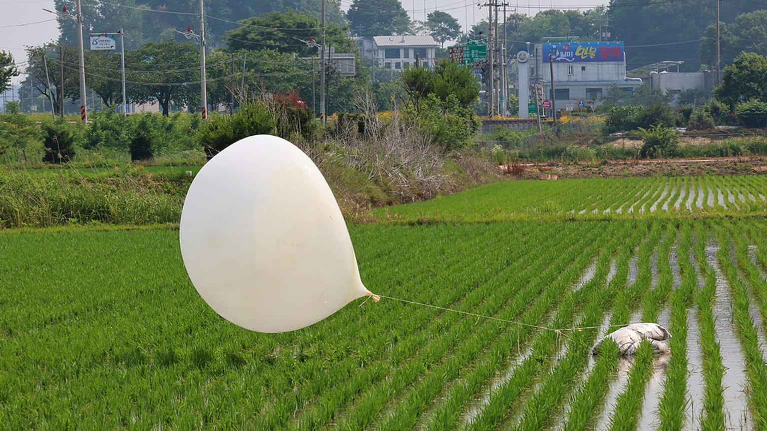 Kuzey Kore'nin gönderdiği düşünülen bir balon, Güney Kore'nin Incheon kentindeki bir çeltik tarlasında görüntülendi, 10 Haziran 2024