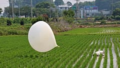 Kuzey Kore'nin gönderdiği düşünülen bir balon, Güney Kore'nin Incheon kentindeki bir çeltik tarlasında görüntülendi, 10 Haziran 2024