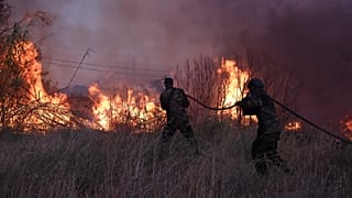 Des volontaires tentent d'éteindre le feu dans le nord d'Athènes, en Grèce, le lundi 12 août 2024.