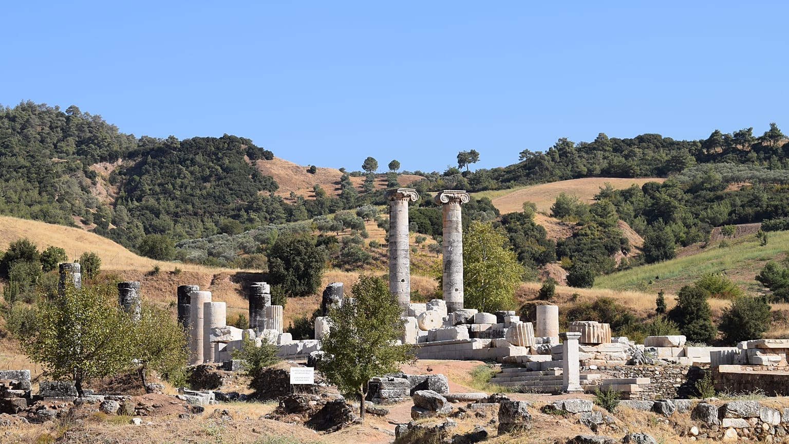 Kazı başkanı iskeletlerin kafa ve kollarında kılıç izleri bulunduğunu, ayrıca askerlerin avuç içlerinde sapan taşı olabileceğini belirtti.