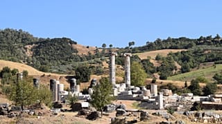 Kazı başkanı iskeletlerin kafa ve kollarında kılıç izleri bulunduğunu, ayrıca askerlerin avuç içlerinde sapan taşı olabileceğini belirtti.