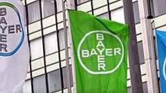 Bayer (Arşiv fotoğraf)