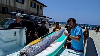 Сельдяного короля иногда называют "рыбой судного дня"