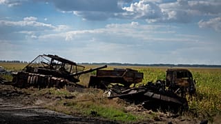 Подбитые российские танки под Суджей, Курская область, 16 августа 2024 года. 