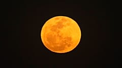 In diesem Jahr wird der Supermond insgesamt vier Mal zu sehen sein.