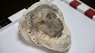 Apollon başı