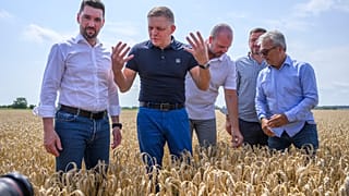A populista Fico visszatért a politikába, miután májusban meglőtte egy merénylő többször is - itt egy júliusi aratáson vesz részt 